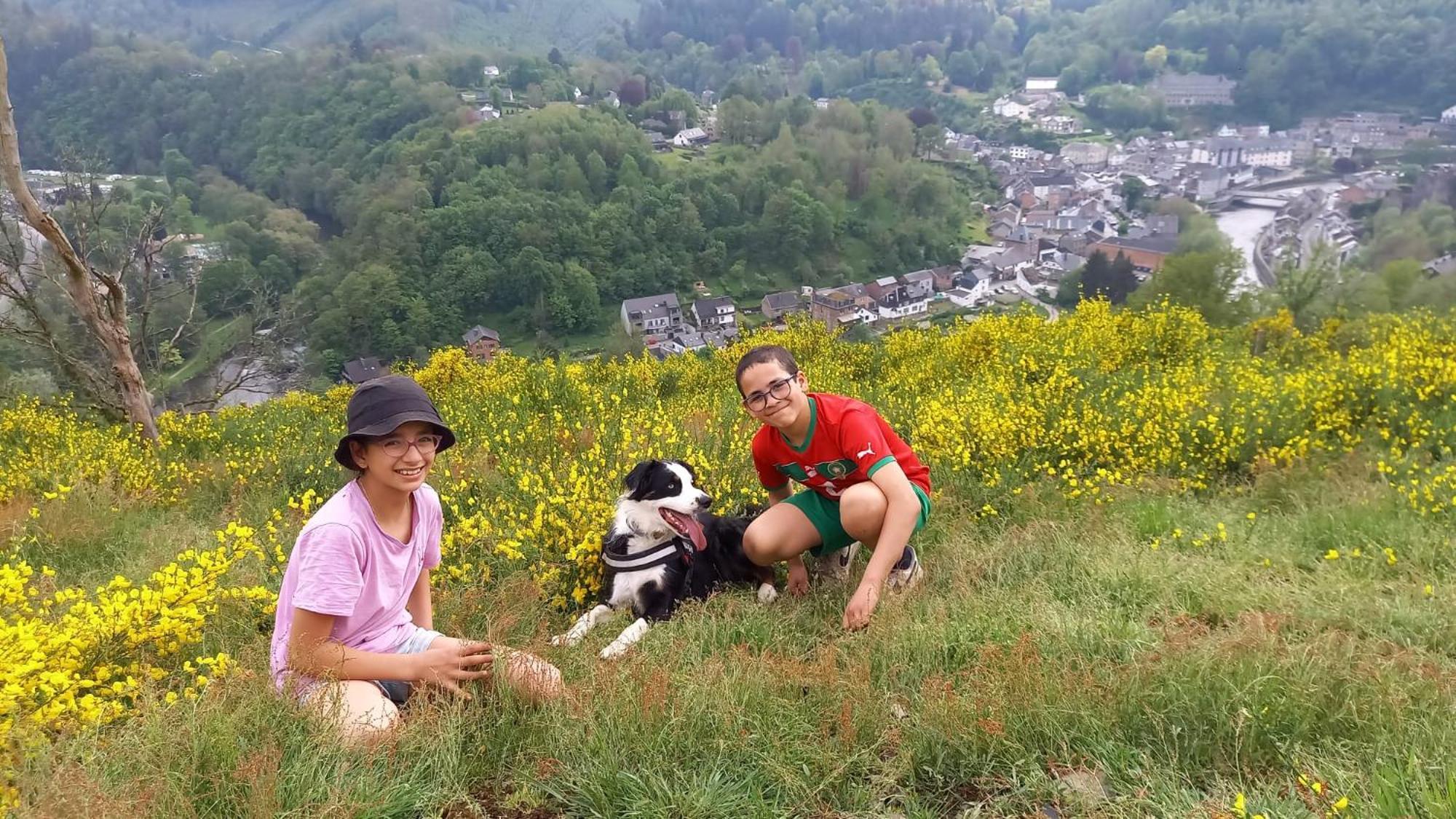 拉罗什-阿登Le Panorama别墅 外观 照片