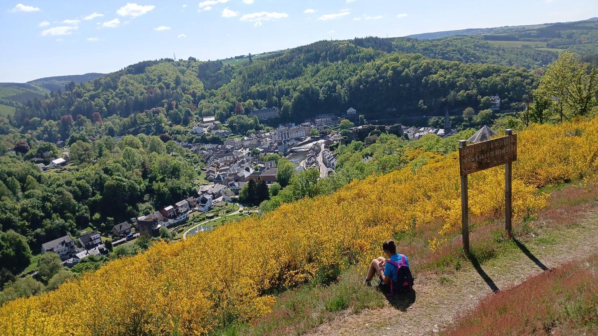 拉罗什-阿登Le Panorama别墅 外观 照片